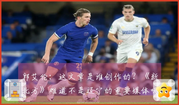 郭艾伦：这文章是谁创作的？《新北方》难道不是辽宁的重要媒体吗？不可能是他们写的吧。