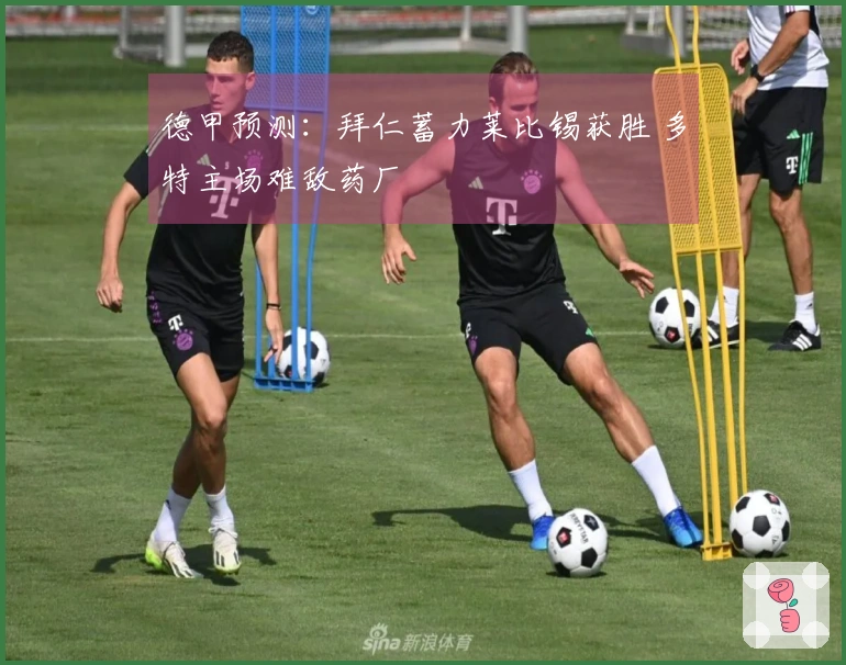 德甲预测:拜仁蓄力莱比锡获胜 多特主场难敌药厂