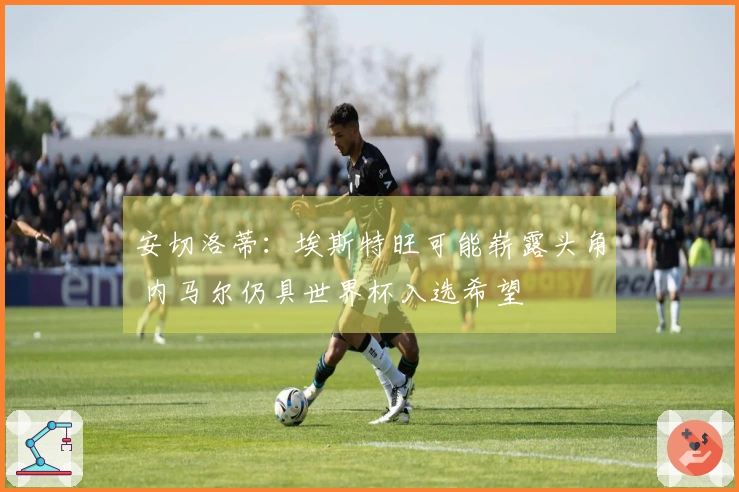 安切洛蒂：埃斯特旺可能崭露头角 内马尔仍具世界杯入选希望