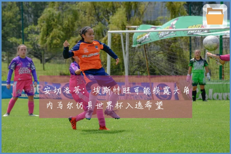 安切洛蒂：埃斯特旺可能崭露头角 内马尔仍具世界杯入选希望