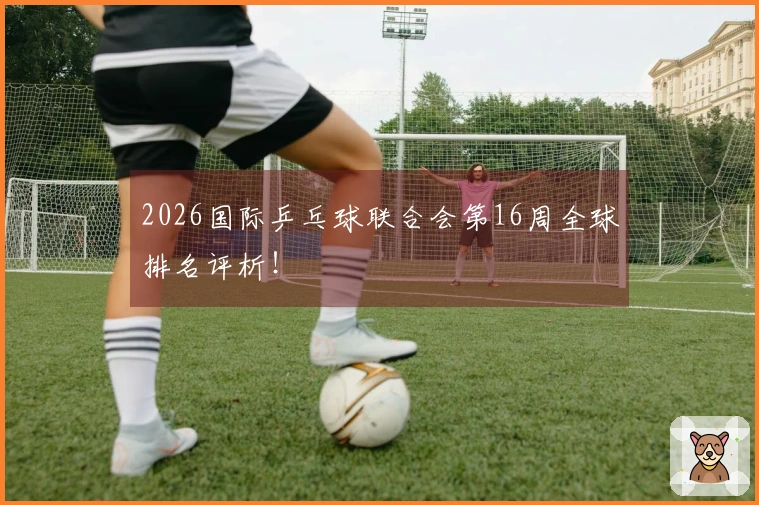 2026国际乒乓球联合会第16周全球排名评析！
