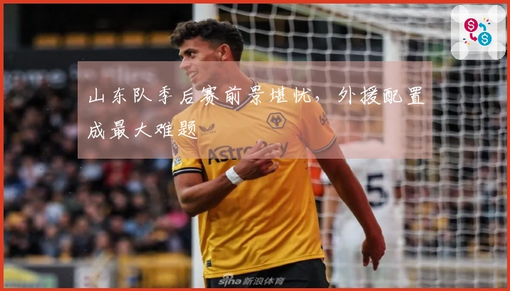 山东队季后赛前景堪忧，外援配置成最大难题